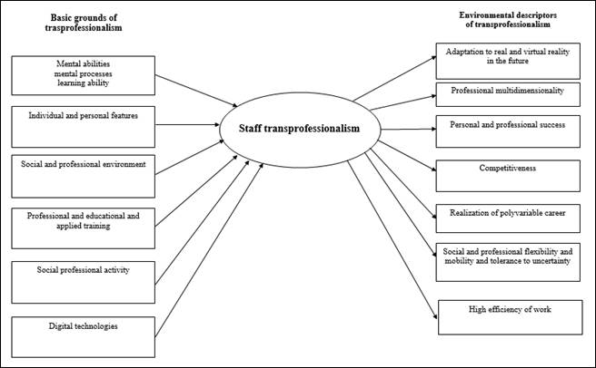 Heuristic model of staff trasprofessionalism